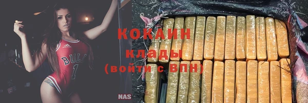 гашик Костерёво