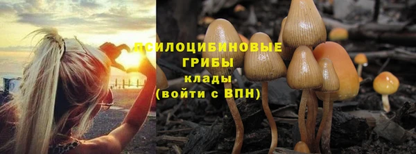 спайс Коряжма