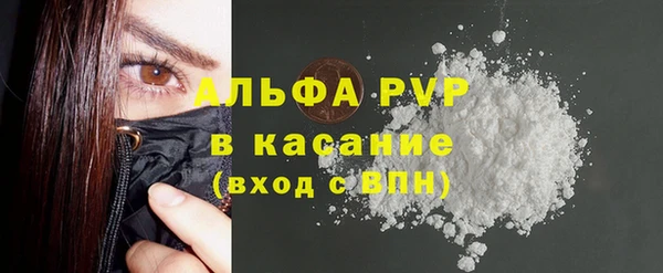 гашик Костерёво