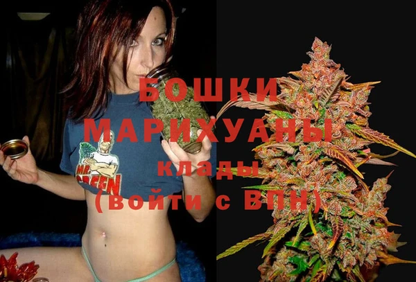 гашик Костерёво