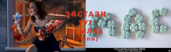 гашик Костерёво