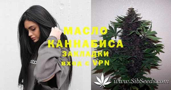 гашик Костерёво