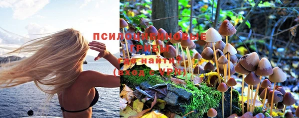 гашик Костерёво