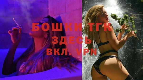 спайс Корсаков