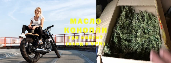 спайс Корсаков