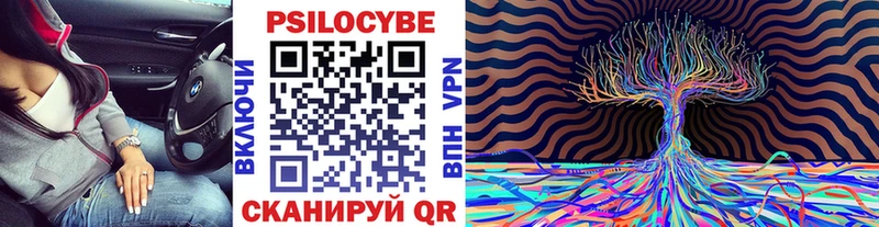 Купить где  Полысаево  Псилоцибиновые грибы MAGIC MUSHROOMS 
